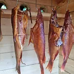 Alpehytte Polar House Bodo