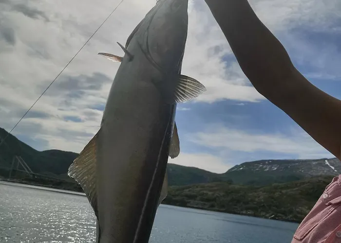 Polar House Bodo Alpehytte